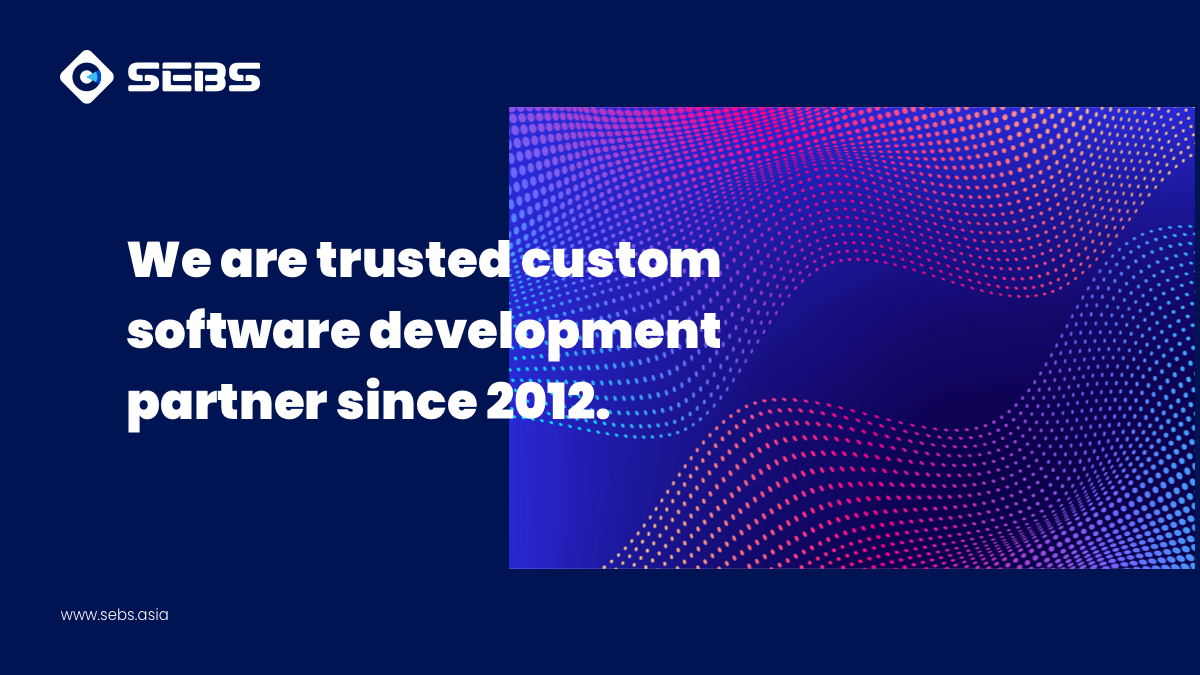 Custom Software Development - Search Eyes Business Solutions